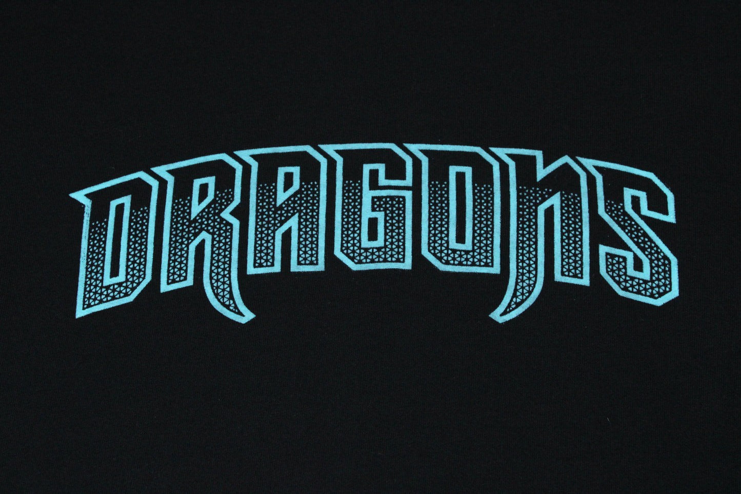 Dragons Wordmark Crewneck SanMar