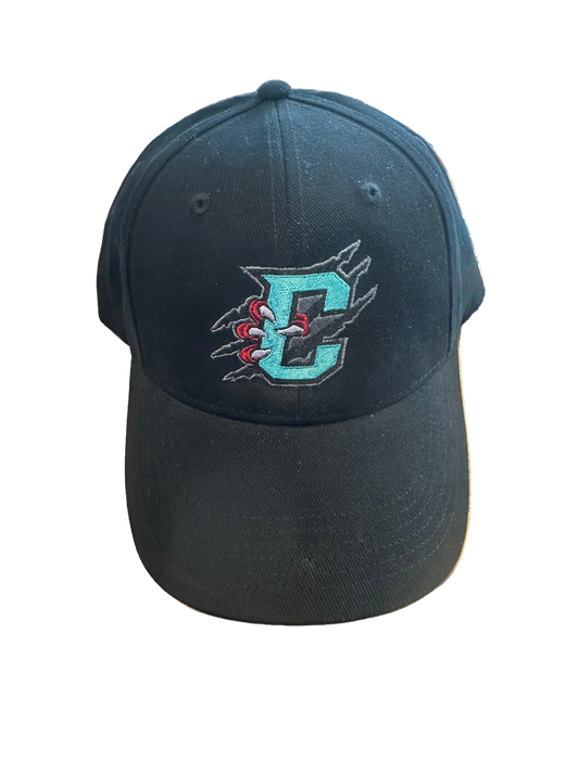 Primary Logo Brushed Twill Black Baseball Hat