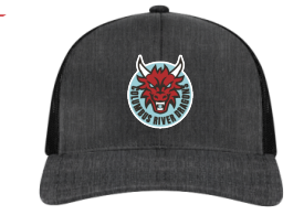 Dragon Seal Grey Hat