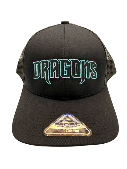 Dragons Wordmark Hat Augusta