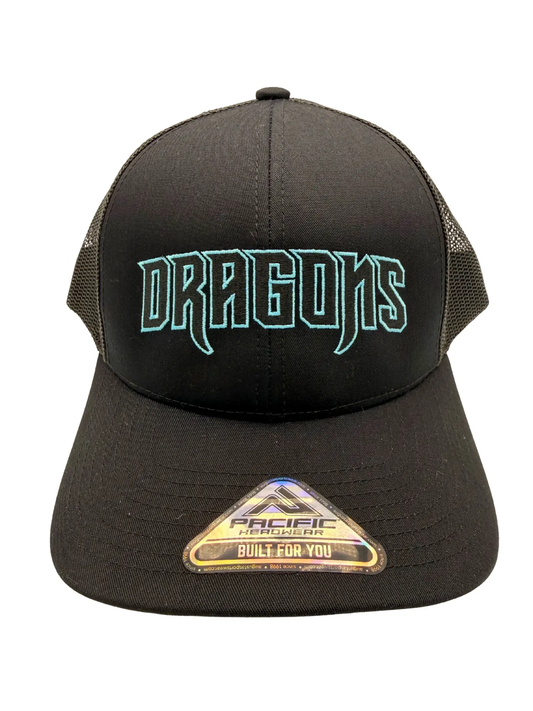 Dragons Wordmark Hat Augusta