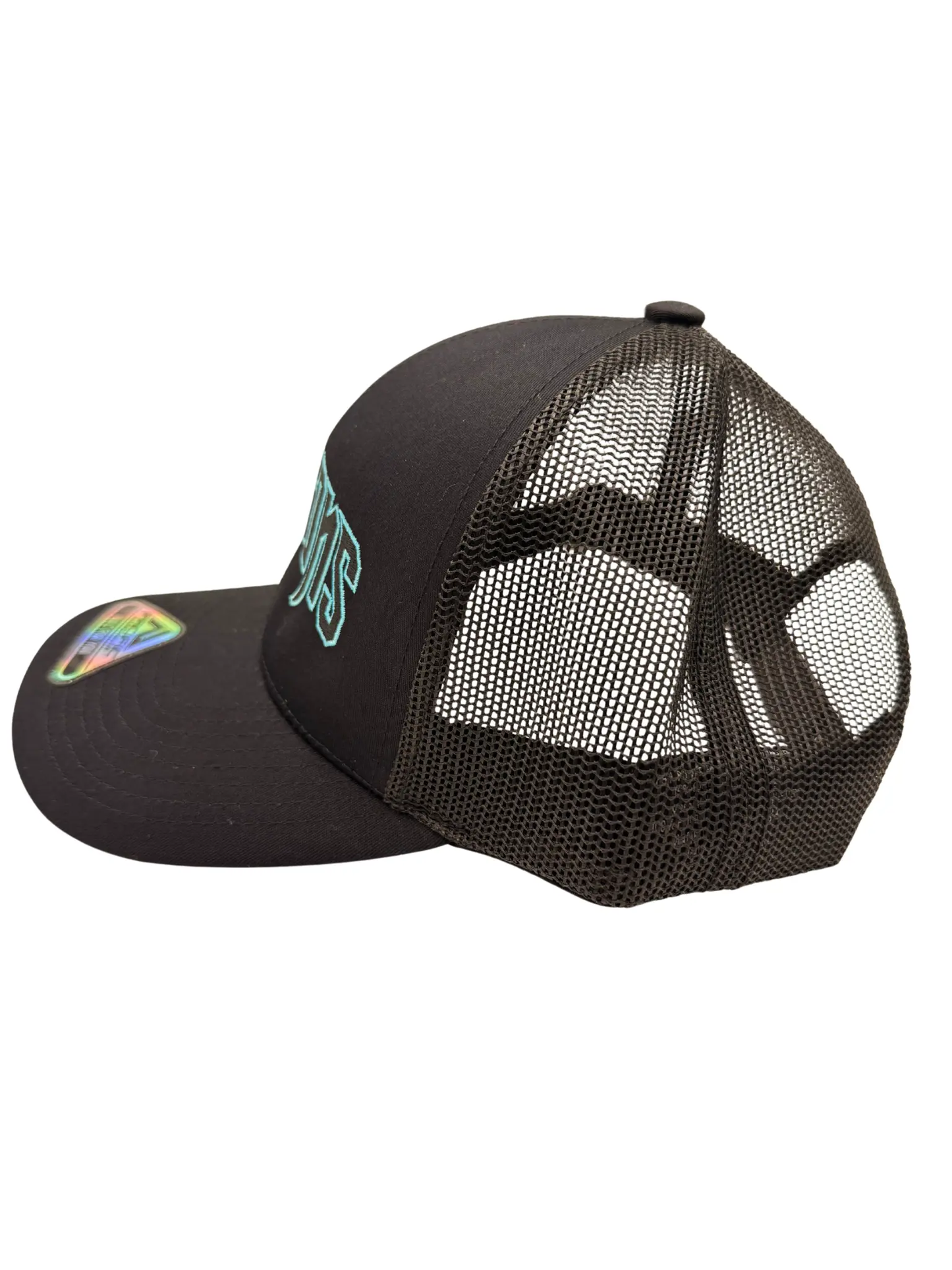 Dragons Wordmark Hat Augusta