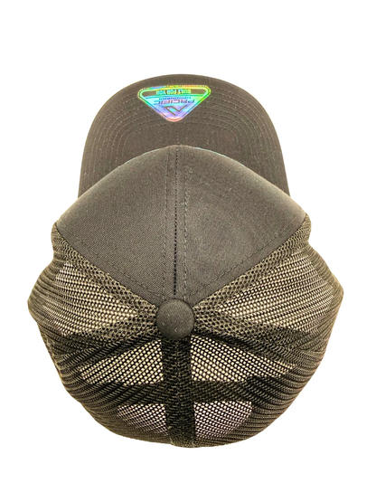 Dragons Wordmark Hat Augusta