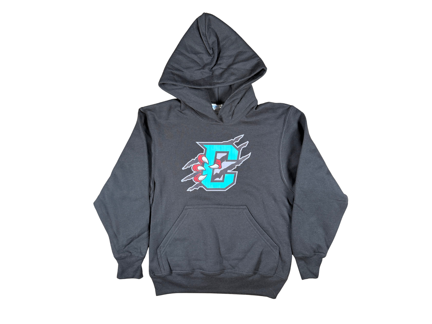 Youth Primary Logo Hoodie